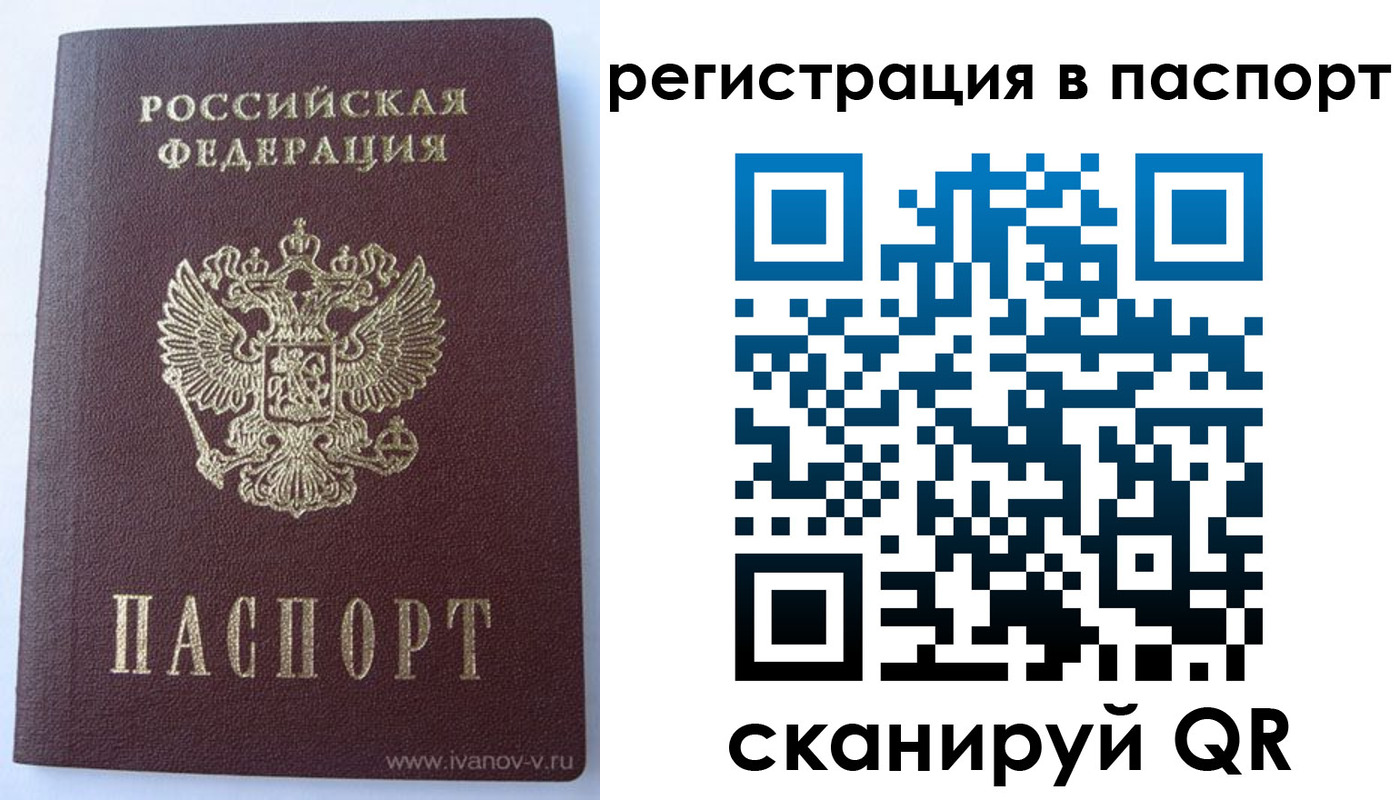 прописка поиск в Кольчугино